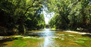 Mold Inspection Brushy Creek Texas